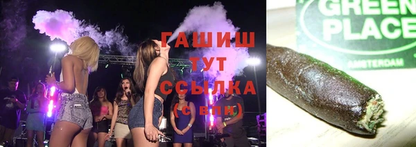 стаф Аркадак