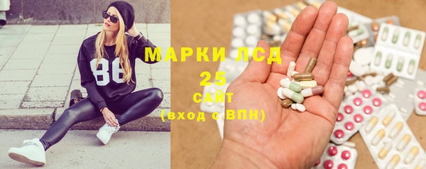 стаф Аркадак