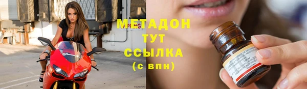 стаф Аркадак