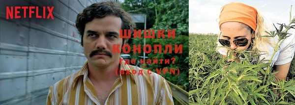 молекула духа Армянск